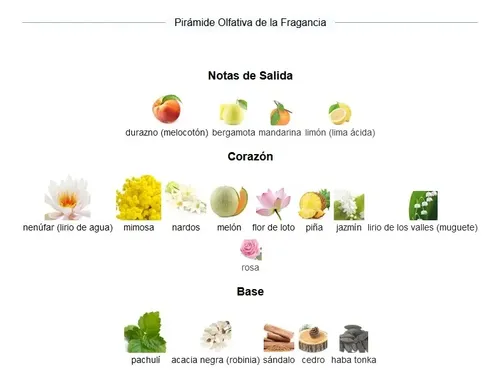 Perfume Femenino Cacha Eden Concentrado Extracto Importado