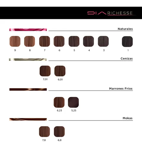 Tintura Dia Richesse Loreal Tono 7.32 X50gr 7.32