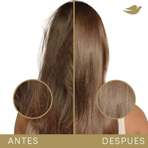 Acondicionador Dove Bond Intense Repair X 250 Ml