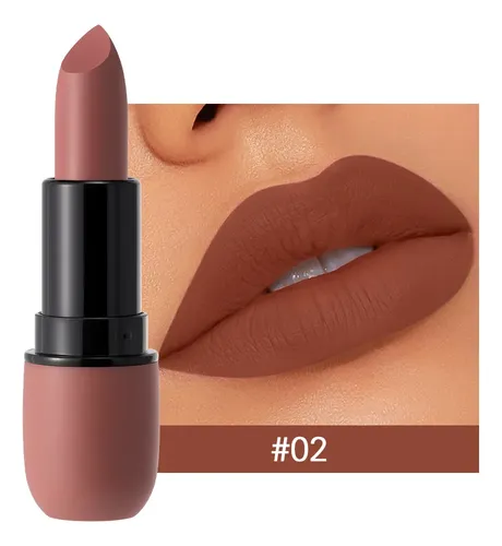 Maquillaje Lápiz Labial Niebla Cara Mate Sin Perder Color 02