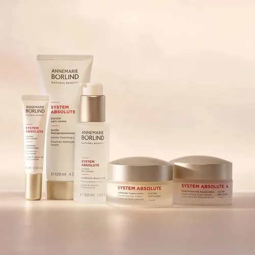 Crema De Día Annemarie Borlind System Absolute Para Mujer 50