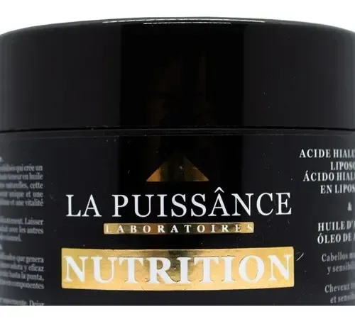 Máscara Capilar Argan Cabello Seco La Puissance X 250ml