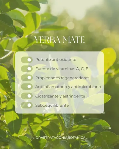 Bruma Facial Astringente Yerba Mate Pieles Oleosas – Idraet Momento de aplicación Día/Noche Tipo de piel Todo tipo de piel