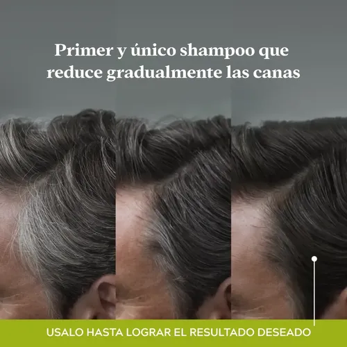 Pack X 4 Shampoo Anti Canas Just For Men Control Gx 118ml