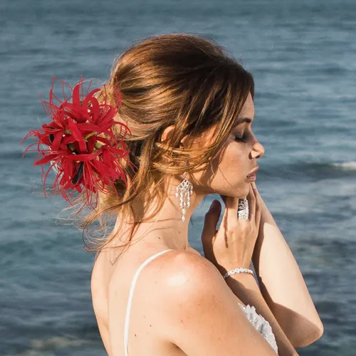 Pinza De Pelo Grande Para Mujer, Pinza De Pelo Delicada