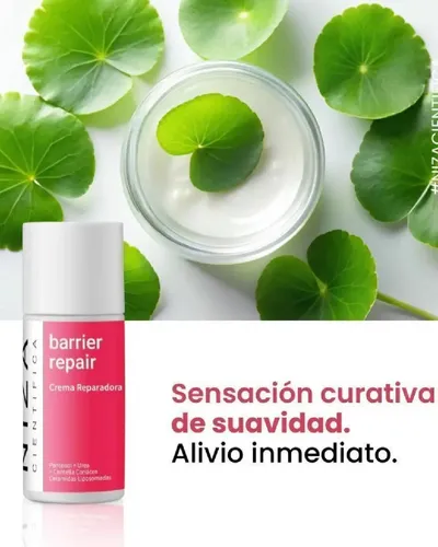 Crema Reparadora Facial Barrier Repair X45 Niza Cientifica Sensible Día/noche