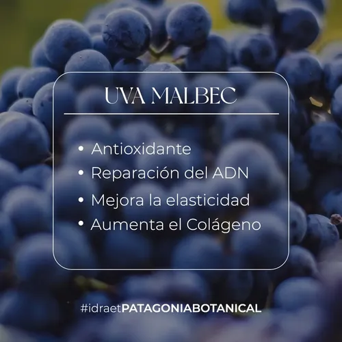 Bruma Facial Uva Malbec – Idraet 120ml Momento de aplicación Día/Noche Tipo de piel Todo tipo de piel