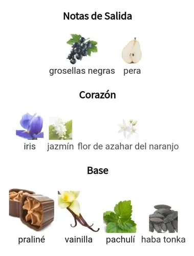 Perfume La Vida Belleza/ei 100ml Mujer Extracto Concentrado