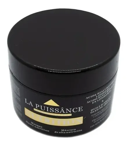 Baño De Crema Argan La Puissance Nutricion Capilar 250ml