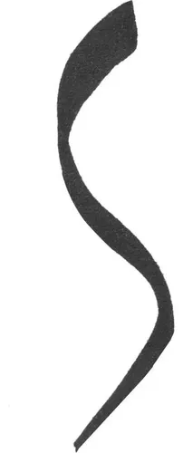 Delineador Líquido Mate Negro 0,9 Ml