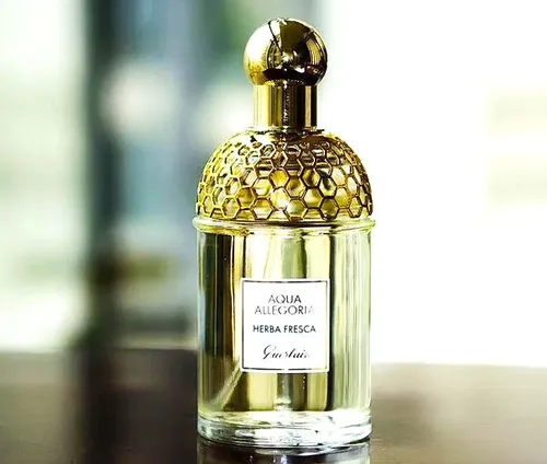 Guerlain Aqua Allegoria Herba Fresca Edt 75ml