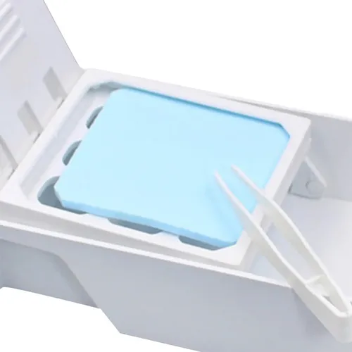 La Paleta Húmeda Mantiene La Pintura Húmeda. Caja De Pasta