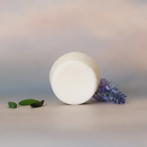 Combo Shampoo Y Acondicionador Solido Pelo Seco Nyübu 100g