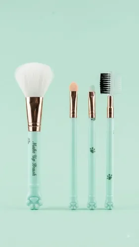 Kit De 5 Brochas De Maquillaje Make Up Brush