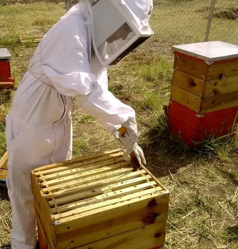 Cera De Abejas Pura Ideal Cremas Unguentos 1 Kg