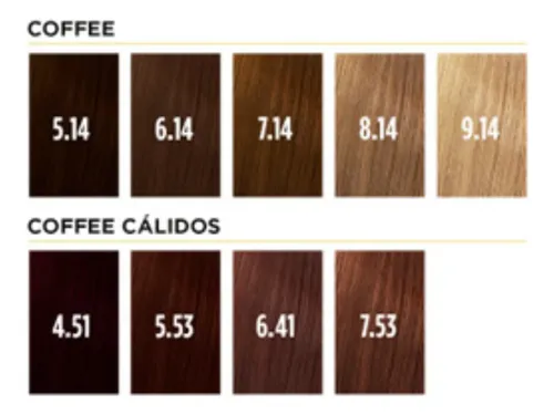 Silkey Colorkey Milenium Tintura X 120 G