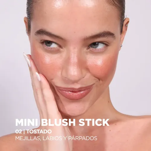 Blush Stick Mini Rubor Cremoso Con Vitamina E Regina – 02 Tostado