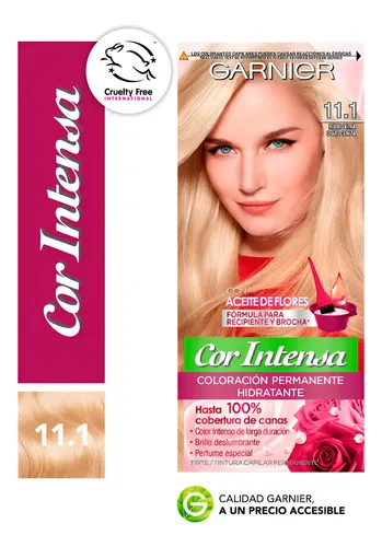 Kit Coloración Permanente Garnier Hidratante Intensa 11.1