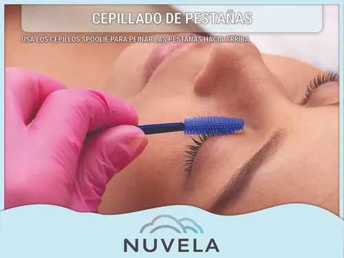 Kit Limpieza Pestañas Lash Shampoo Botella Ventilador