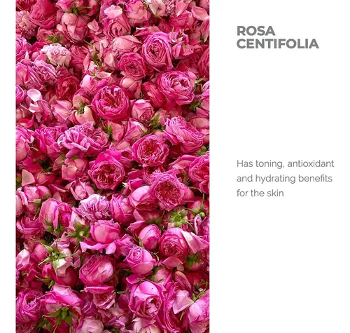 Tónico De Agua De Rosas Alteya 500 Ml Usda Organic