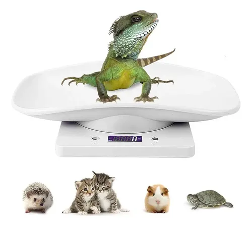 Báscula Veterinaria Digital Electrónica Balanza Para Mascota