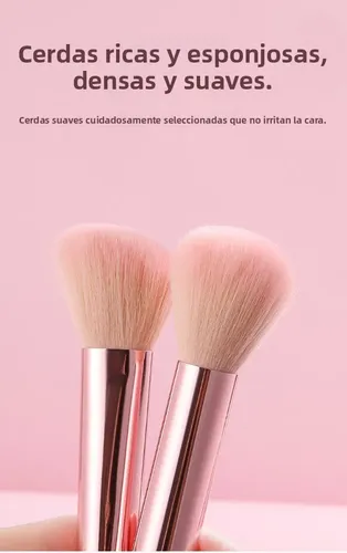 Brochas Maquillaje Largas Mini Juego 6pzas Sombra Rubor Suav