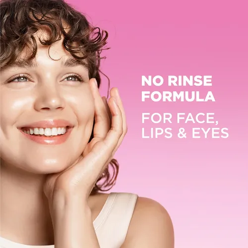 Limpiador Facial Y Desmaquillante Garnier Micellar Water