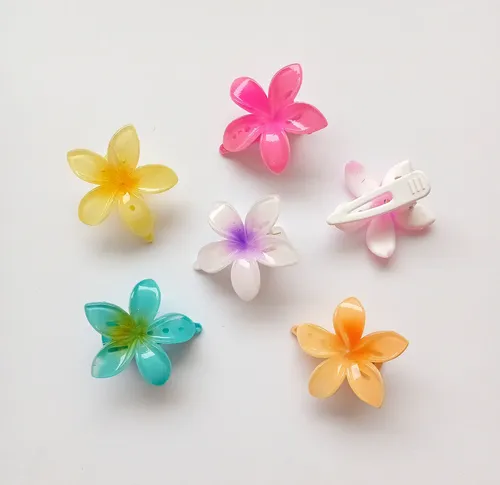 Pack X 6 Hebillas Pico Flor De Pelo Colores Surtidos