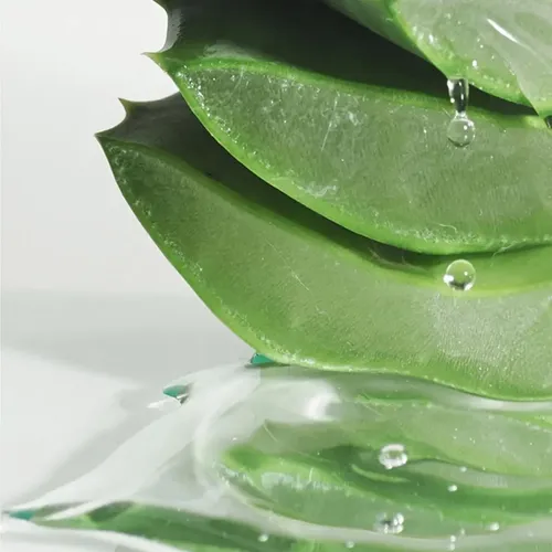 Gel Hidratante De Aloe, Gel Exfoliante Purificante, 2