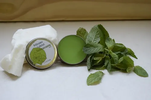 Bálsamo Labial Refrescante Menta Y Limón Ouroboros