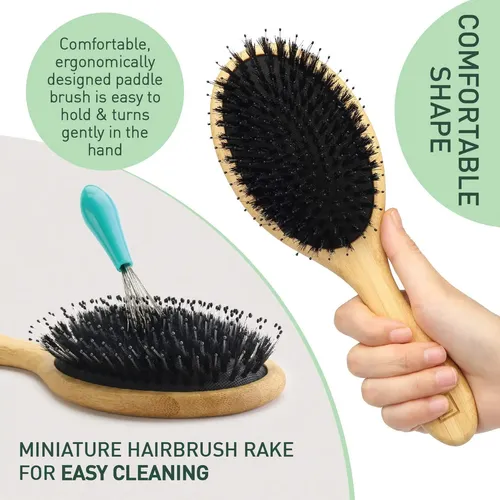 Cepillo De Cerdas Naturales De Jabalí Para Mujeres, Hombres