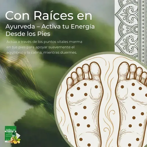 Parches Desintoxicantes Para Pies X12 South Moon