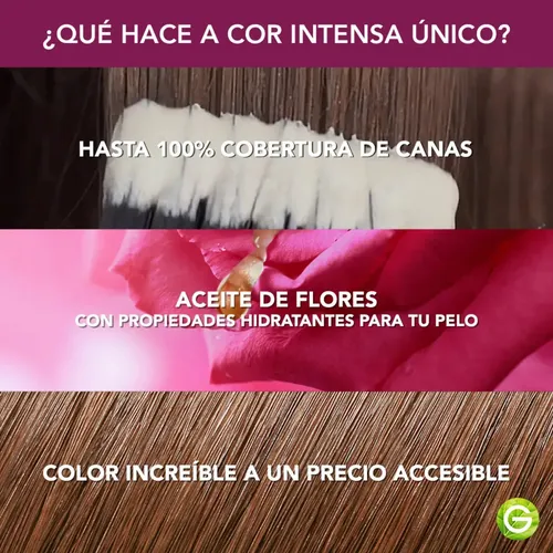 Kit Coloración Permanente Garnier Hidratante Cor Intensa 6.7