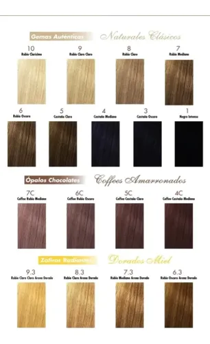 Silkey Key Kolor Clasica Kit Completo Coloración X6