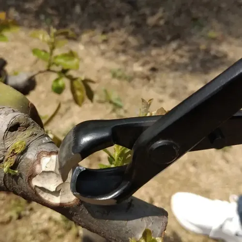Rx2 Herramienta De Jardín For Bonsáis, Tijeras De Podar