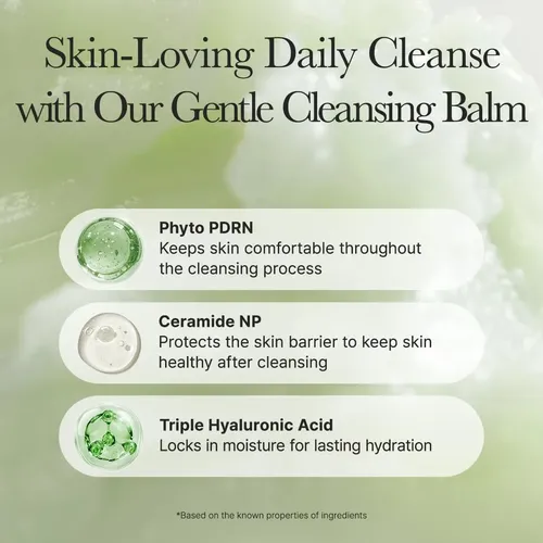 Arencia Pore Melt Phyto Pdrn Cleansing Bálsamo Limpiador