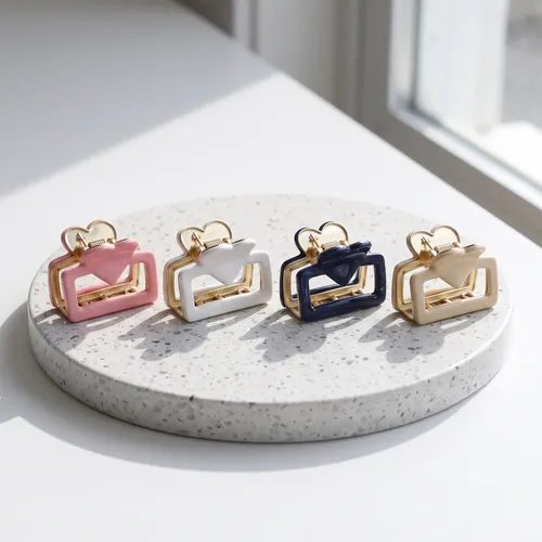 Broche Para Pelo Influencer 68.h5124.1 Color Surtido