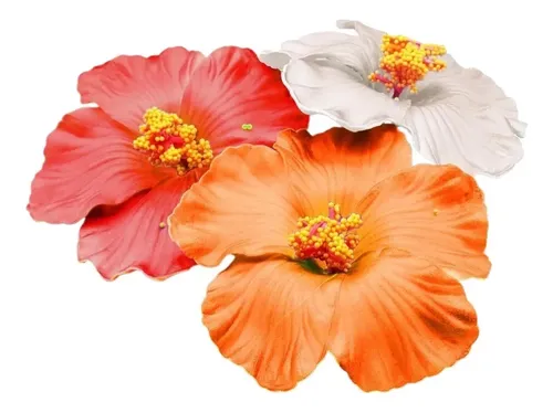O 3 Pinzas Para El Pelo De Flores Hawaianas Para Mujer