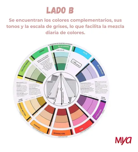 Circulo Cromático Maquillaje Color Wheel Rueda Creativa Mini
