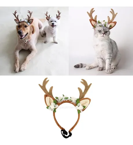 Accesorios Para Pelo De Perro Y Gato L