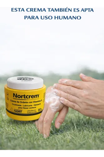 Crema Ordeñe Originl Nort X 250 Grs Pack X4unidades