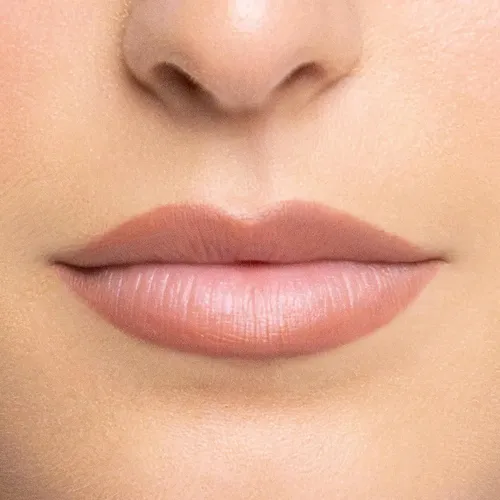 Lápiz Labial Trish Mcevoy Forma Y Mejora 1.2 G Nude