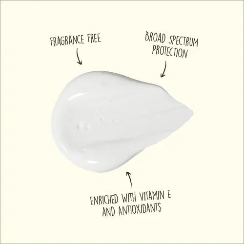 Protector Solar Facial Spf50 Original Sun Bum 3 Oz (pack 2)