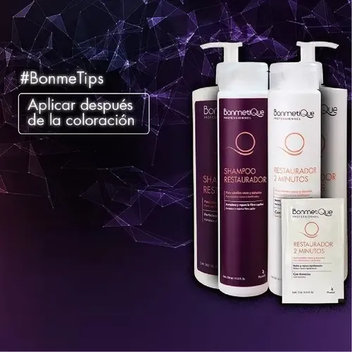 Shampoo Bonmetique Restaurador Cabello Seco Dañado X 350ml