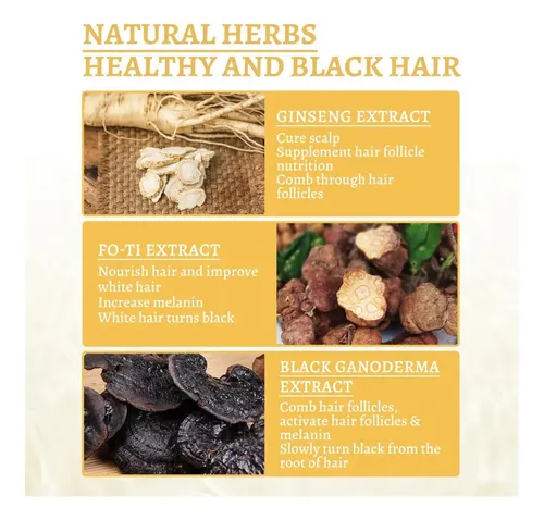 Tratamiento Capilar Ganoderma Lucidum Negro 2 Piezas