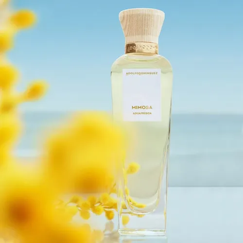 Set Agua Fresca Mimosa Coriandro Edt 120ml Premium