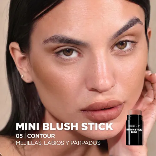 Blush Stick Mini Rubor Cremoso Con Vitamina E Regina