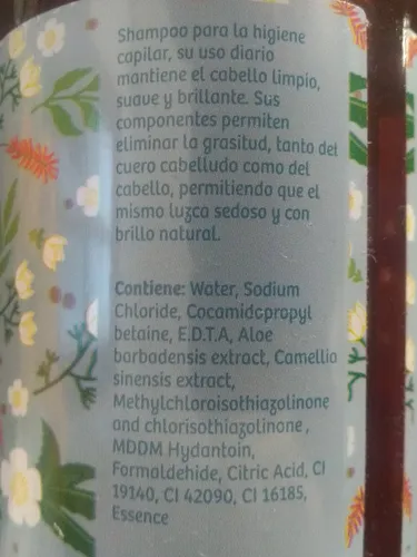 Shampoo Para Cabellos Grasos Con Aloe Vera Y Té Verde Hierbas Del Oasis Vegan Sin Parabenos