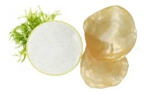 Polvo De Nacar 100 Gr +a Kojico 10 Grs