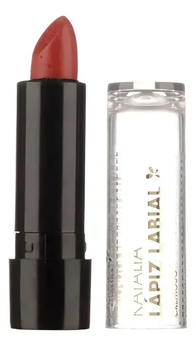 Lápiz Labial Mate Larga Duración – Katalia Color 24- Terracota claro